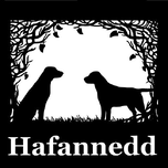 Hafannedd